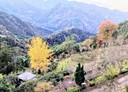 南庄鄉-土地，712.1坪