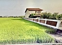 草屯鎮-土地，600.2坪