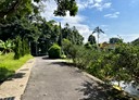 龍潭區-永平路土地，240坪