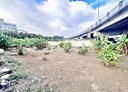 竹東鎮-土地，364坪