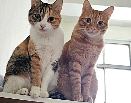 火車站附近/好停車/出入方便 - Image 13