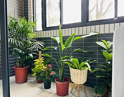 小蝸牛-輕廚房近竹北台元昌益視野大陽台 - Image 11