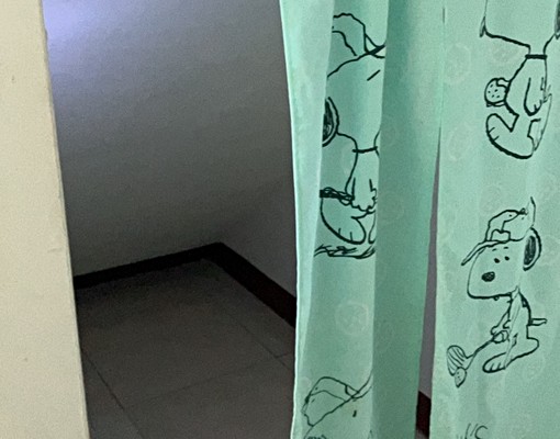 花蓮大套房出租近遠百另有優質雅房 - Image 11