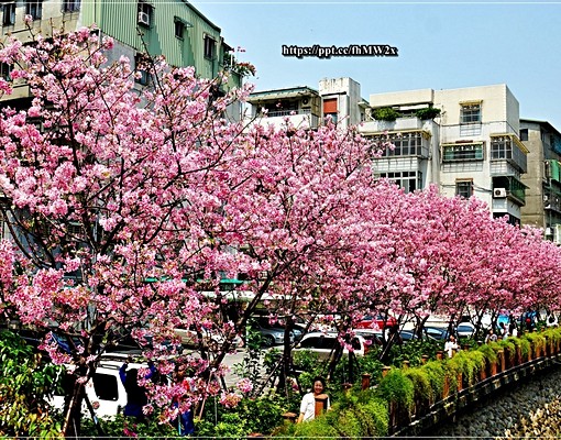 近土城海山捷運站優質共生套雅房大推薦! - 591租屋網 - Image 11