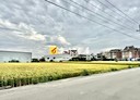 大雅區-自強段土地，829.8坪