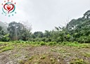 三峽區-土地，1228坪