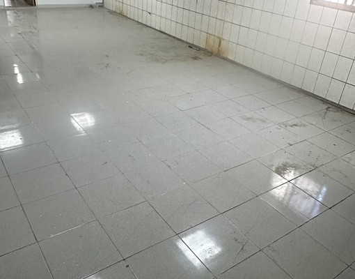 近霧隱國軍整層住家2+1房2衛1廳可補可宿舍可貓 - Image 5