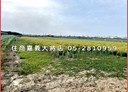 朴子市-土地，912.6坪