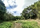 竹東鎮-柯子湖段土地，303.7坪