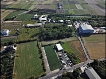 ✪東森小東店✪佳里子龍廟鈔..