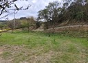 通霄鎮-土地，766.5坪