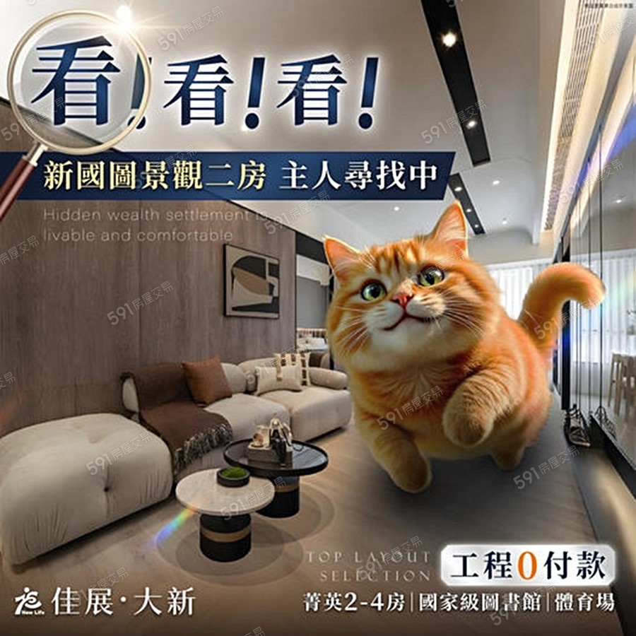 佳展大新宣傳圖