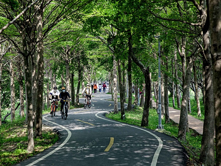 誠總上楓湛環境圖