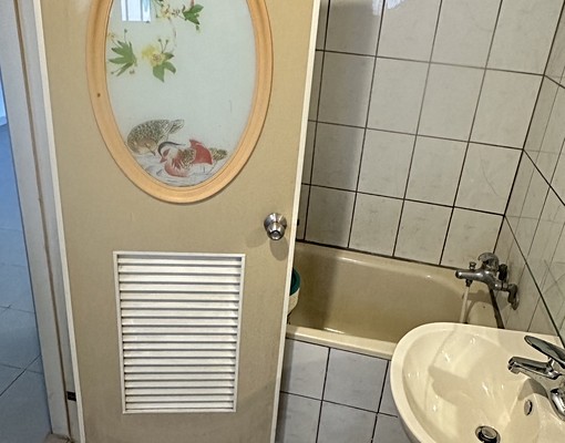 龍潭/近手信霧影城/可租補/可貓/整層住家 - Image 13