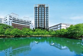 一目辰