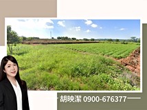 『台中航空城』一期🌳西勢段..