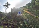 信義區-土地，1021坪