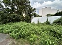 埔里鎮-樹人一街土地，554.8坪