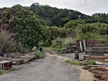 金山兩湖里村落中的稀有大面..
