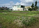 官田區-土地，317坪