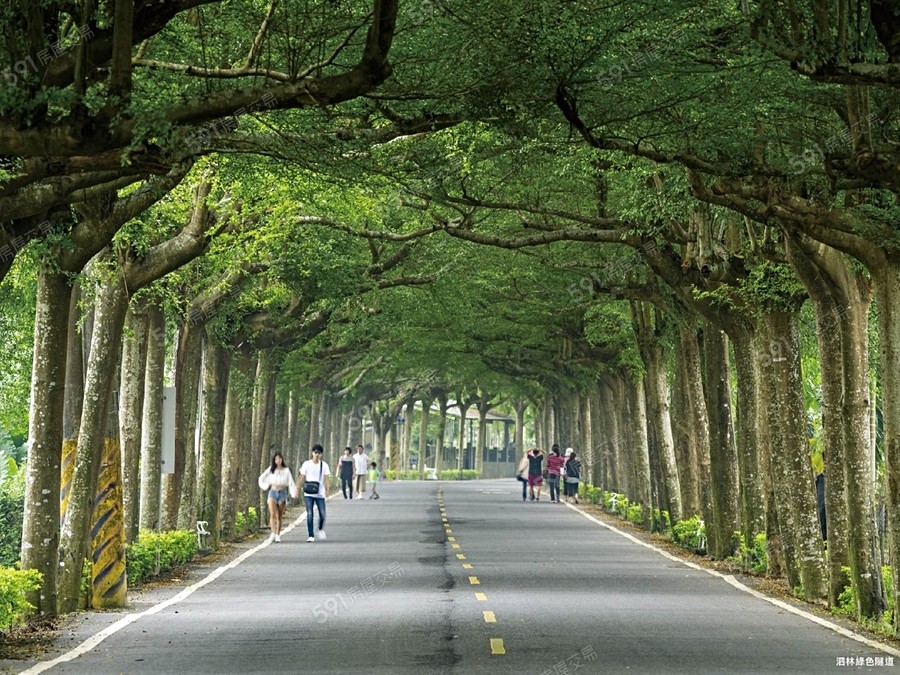 丰‧中洲環境圖