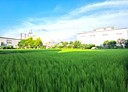 潭子區-土地，316.7坪
