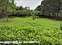 龍潭區-土地，195.8坪