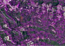 信義區-土地，1021坪