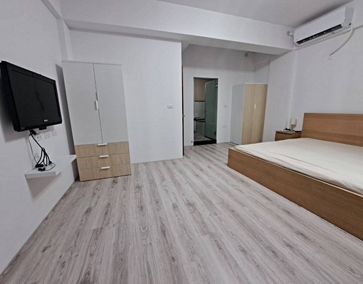 南科LM輕齡雙車優質透天別墅 - Image 5