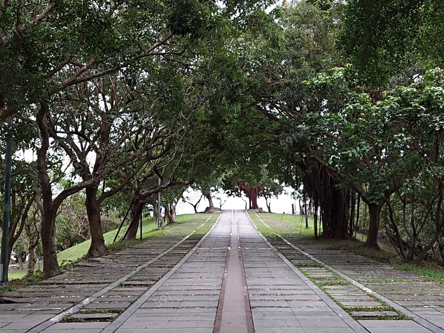 頤和竹林環境圖