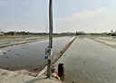 花壇鄉-口庄段土地，720坪