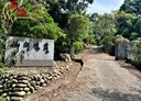 北埔鄉-溝背段土地，826.4坪