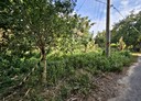 芎林鄉-土地，322.8坪
