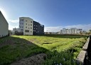 大雅區-自強段土地，164.8坪