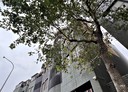 林口區-仁愛路一段4房4廳，121.5坪
