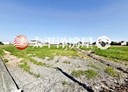 福興鄉-土地，976.5坪