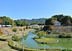 平價奢華當道　太平這案性價爆表