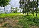 北埔鄉-土地，791.3坪