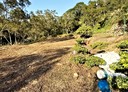 竹東鎮-大鄉段土地，412.3坪