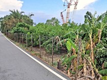 翁公園段🍎中庄10米路都計內..