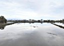羅東鎮-復興段土地，25.1坪