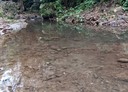 北埔鄉-五指山段土地，756.3坪