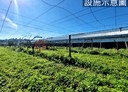 新社區-崑南街土地，1810.4坪