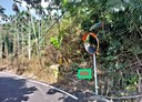 水里鄉-土地，889.4坪