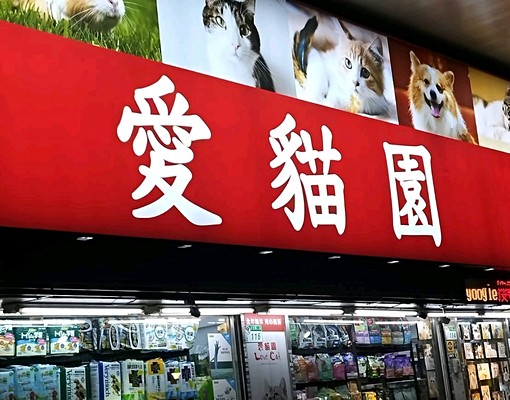 永遠是春天😃歡迎長短租旅客實習受訓支援試用裝修😀寵物樂園 - Image 4