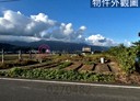 礁溪鄉-土地，625坪