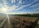 草屯鎮-土地，617坪