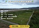 壽豐鄉-忠孝段土地，161.4坪