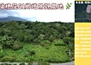 瑞穗鄉-土地，666坪