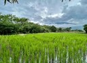 吉安鄉-初音段土地，583坪